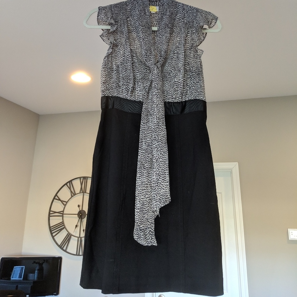 Dress for work or special occasions